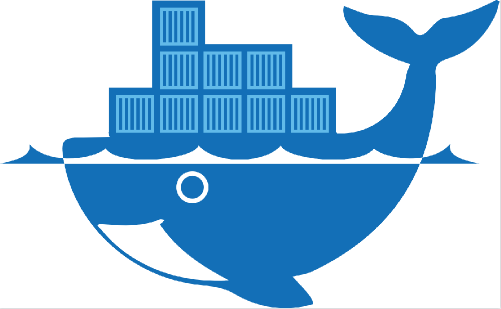 大鲸鱼国际物流2023.7.6最新价格